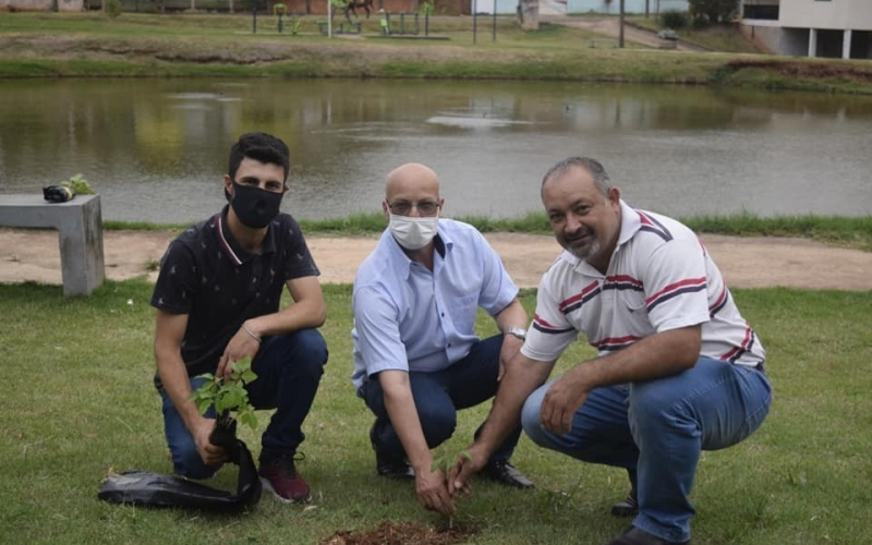 21 de Setembro dia da Árvore